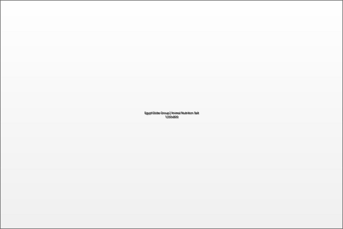 Egypt Globe Group | Animal Nutrition Salt
